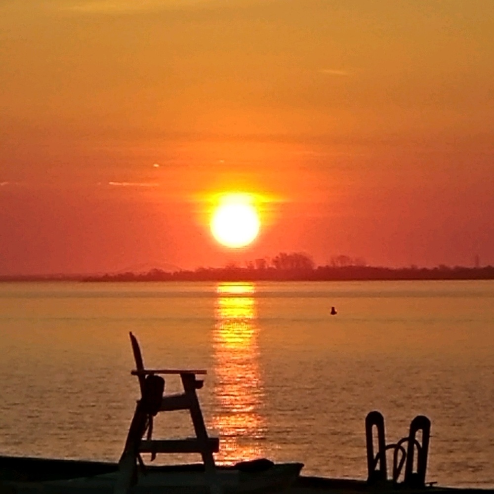 Meet your Posher, Robin